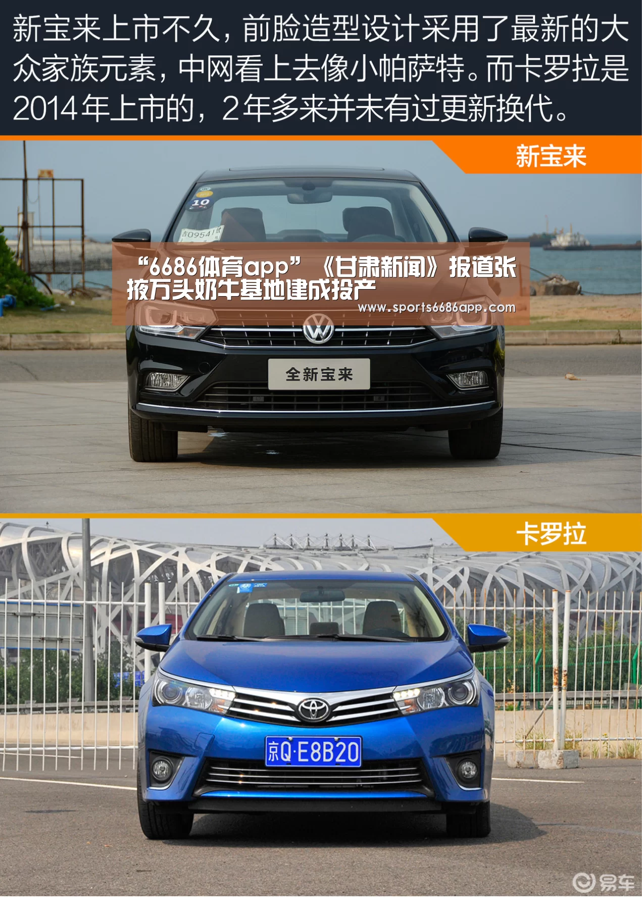 6686体育app