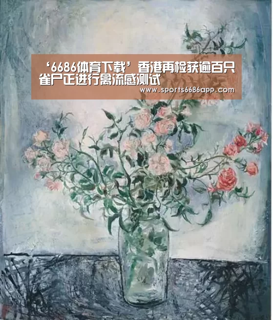6686体育app
