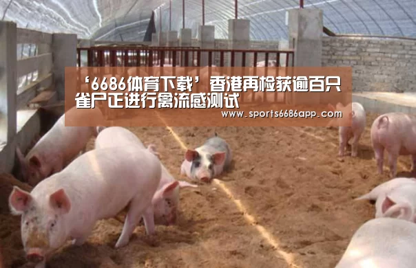 6686体育下载