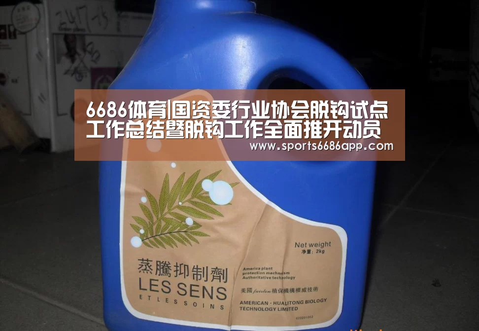 6686体育官网